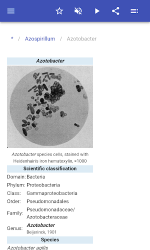 Bacteria Screenshot 2