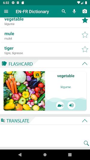 French English Dictionary Screenshot 0