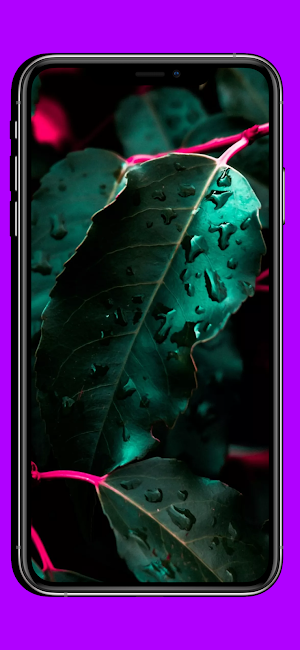 Ultra HD AMOLED wallpapers Screenshot 3