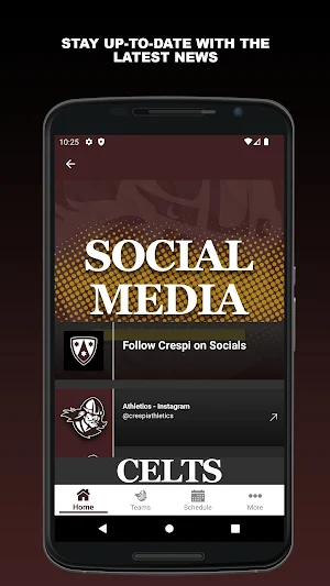 Crespi Celts Screenshot 3