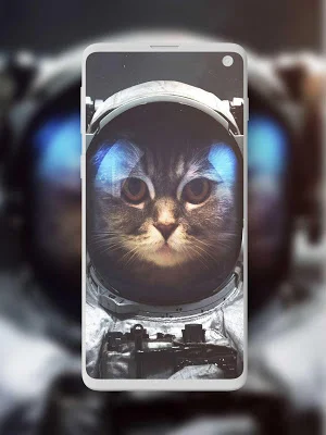 Animal Wallpapers Screenshot 2