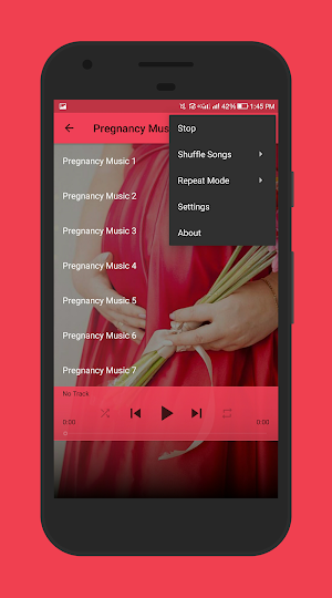 Pregnancy Music Screenshot 3
