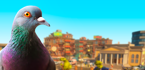 Pigeon Screenshot 0
