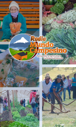 Radio Mundo Campesino Screenshot 0