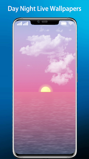 Video Live Wallpaper Day Night Screenshot 0