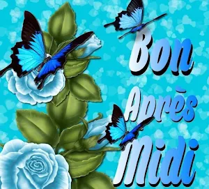 Bon après-midi Bonsoir Screenshot 0