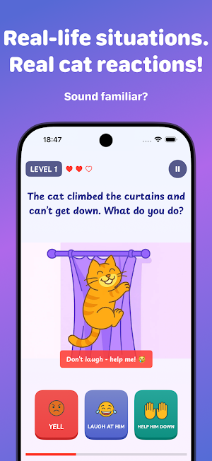 CatCoach - Train your cat! Screenshot 1