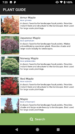 Redwood Nursery Screenshot 2
