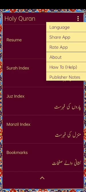 Holy Quran Pro - 16 Line Screenshot 0