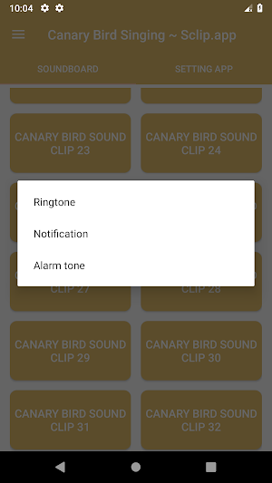 Canary Bird Singing ~ Sclip.app Screenshot 3