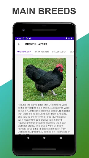 Breeds of Chickens Screenshot 2