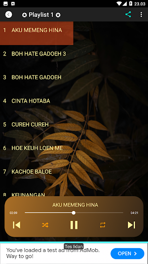 Bergek Lagu Aceh Full Album Screenshot 1