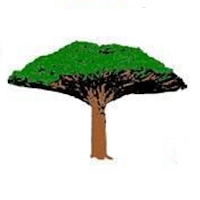 حكايات سقطرية