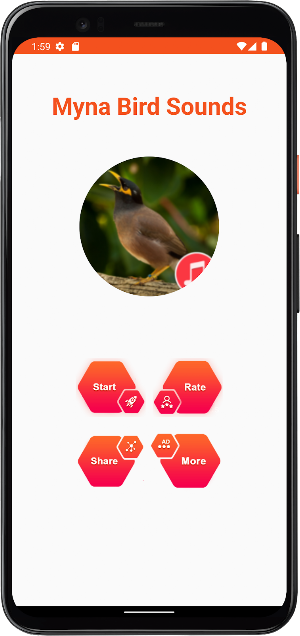 Myna Bird Sounds Screenshot 1