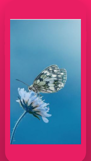 Mix Colourful Flowers Live Wallpaper Screenshot 3
