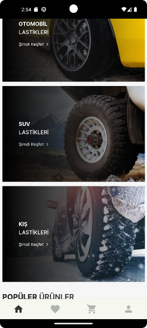 Lastalya Screenshot 1