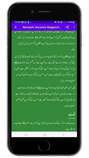Benazir Survey 2024 Screenshot 3