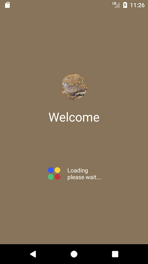 Zebra dove Sound Screenshot 0