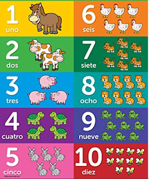 Learn Spanish. Screenshot 1