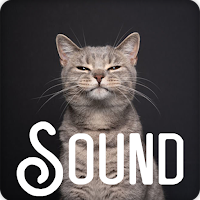 Cat Meow Soundboard Ringtones