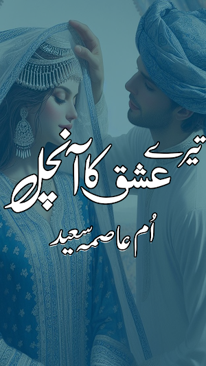 Tere Ishq Ka Aanchal Urdu Novl Screenshot 0