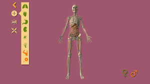 Arloon Anatomy AR Screenshot 0