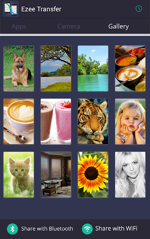 Ezee Transfer Screenshot 3