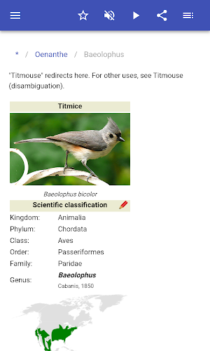 Passeriformes Screenshot 2