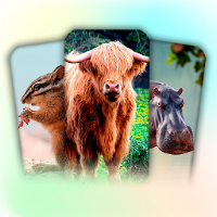 Flashcards for kids: Animals
