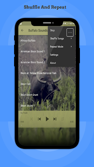 Buffalo Sounds Screenshot 2
