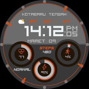 Digital Circle Screenshot 2