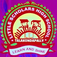 Little Scholars High School