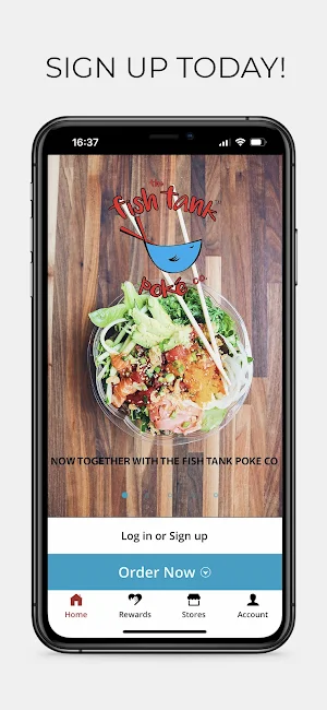 Dua Vietnamese Screenshot 0