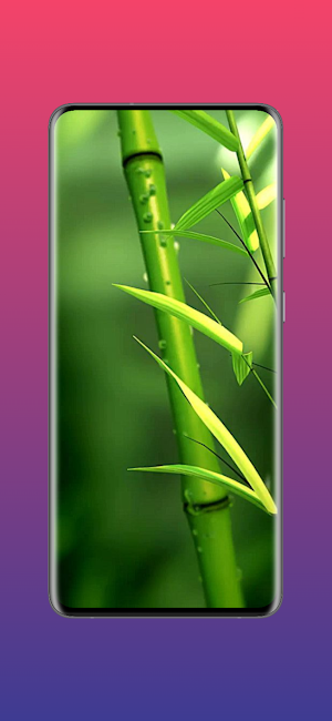Wallpaper Topia Screenshot 2