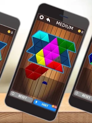 Triangle Block Puzzle – Free Tangram Games Screenshot 2