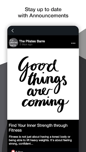 The Pilates Barre 38834 Screenshot 3