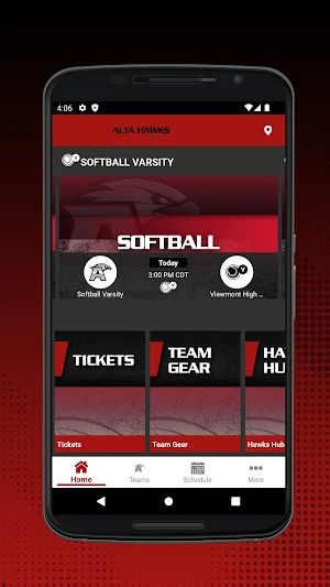 Alta Hawks Screenshot 0