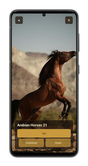 Horse Wallpapers Screenshot 3