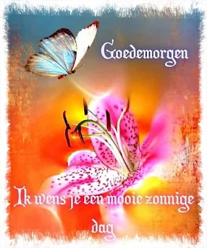 Goedemorgen Screenshot 1