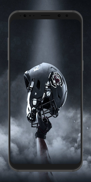 NFL Football Wallpaper 4K Screenshot 3