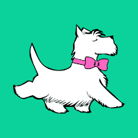 Pet Spa