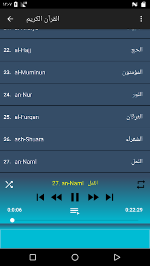 عبد الباسط قرآن كامل وتصفح بدون نت Screenshot 2