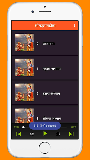 Bhagavad Gita in Hindi Audio Screenshot 2