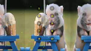 Pig Oink Livestock Soundboard Screenshot 3
