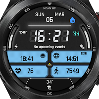 NDAN95 Digital WF 7 Segment