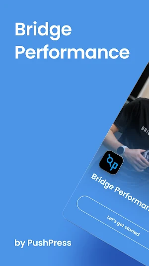 Bridge Performance Screenshot 0