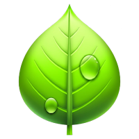 Natural Remedies