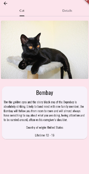Cat Catalog Screenshot 1