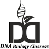 DNA BIOLOGY CLASSES