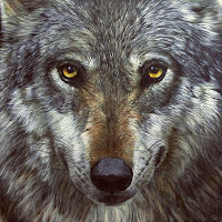 Wolf Sounds